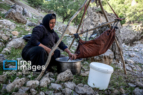 عکس روز | زندگی عشایری