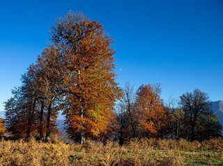 بارش‌های موثر پاییزی چهارمحال و بختیاری بعد از نیمه آبان شکل می‌گیرد