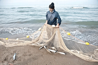 دریا بدقول شده است