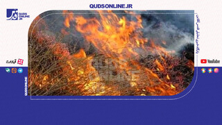 فیلم | ۸ هکتار از پوشش گیاهی دامنه قله دماوند در آتش سوخت