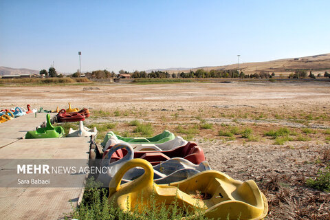 گزارش تصویری | منتخب هفته

مرگ تلخ سراب نیلوفر؛ هشدار خاموش طبیعت به مدیران