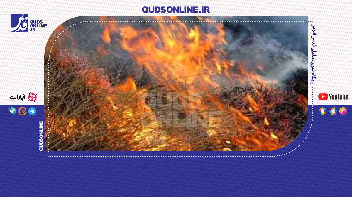 فیلم | ۸ هکتار از پوشش گیاهی دامنه قله دماوند در آتش سوخت