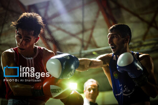 تصاویری از فینال لیگ برتر بوکس