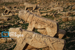 مرگ آرام شیرهای سنگی