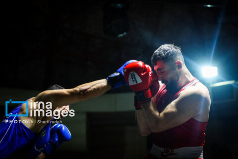 تصاویری از فینال لیگ برتر بوکس