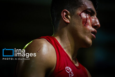 تصاویری از فینال لیگ برتر بوکس