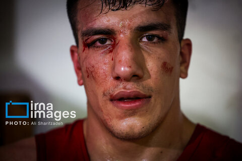 تصاویری از فینال لیگ برتر بوکس