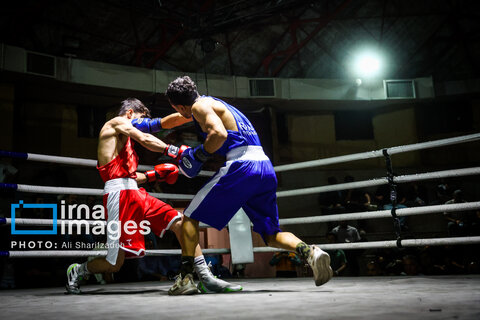 تصاویری از فینال لیگ برتر بوکس