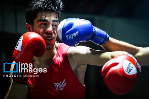 تصاویری از فینال لیگ برتر بوکس