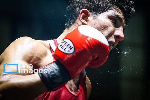 تصاویری از فینال لیگ برتر بوکس