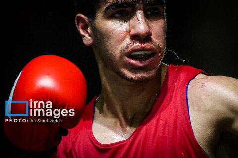 تصاویری از فینال لیگ برتر بوکس