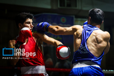 تصاویری از فینال لیگ برتر بوکس