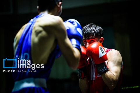 تصاویری از فینال لیگ برتر بوکس