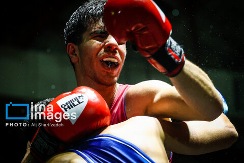 تصاویری از فینال لیگ برتر بوکس