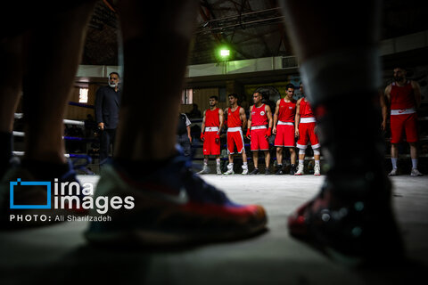 تصاویری از فینال لیگ برتر بوکس