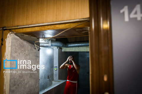 تصاویری از فینال لیگ برتر بوکس