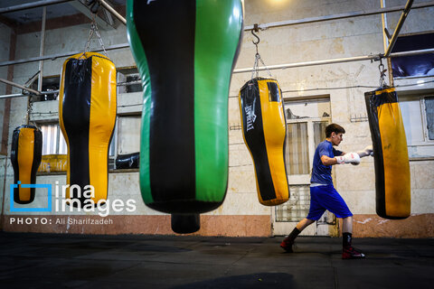 تصاویری از فینال لیگ برتر بوکس