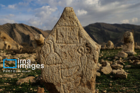 مرگ آرام شیرهای سنگی