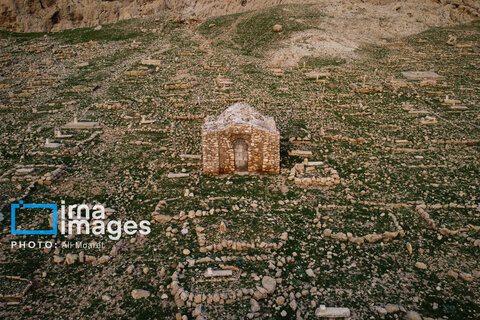 مرگ آرام شیرهای سنگی