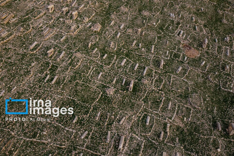 مرگ آرام شیرهای سنگی