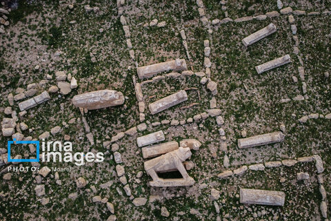 مرگ آرام شیرهای سنگی