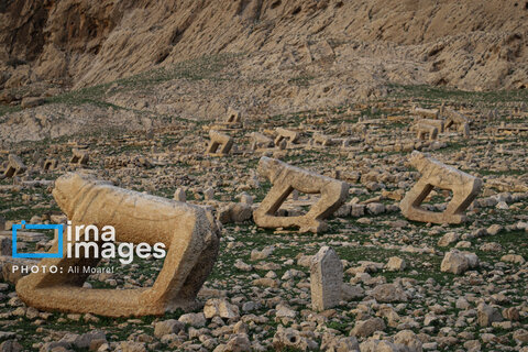 مرگ آرام شیرهای سنگی