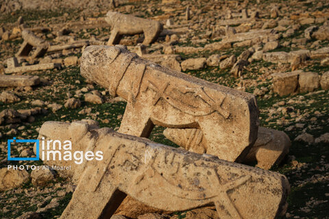 مرگ آرام شیرهای سنگی