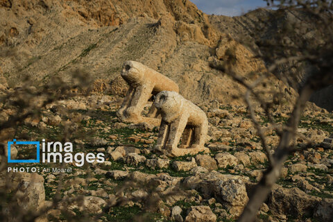 مرگ آرام شیرهای سنگی