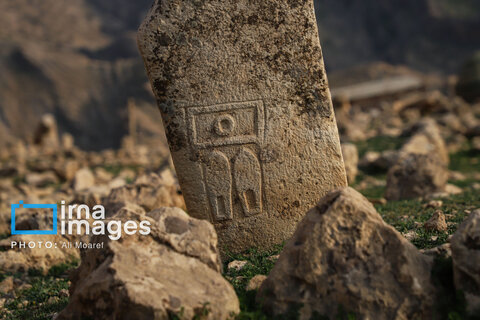 مرگ آرام شیرهای سنگی