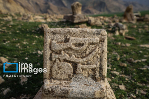 مرگ آرام شیرهای سنگی