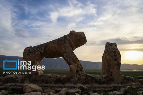 مرگ آرام شیرهای سنگی