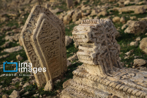 مرگ آرام شیرهای سنگی