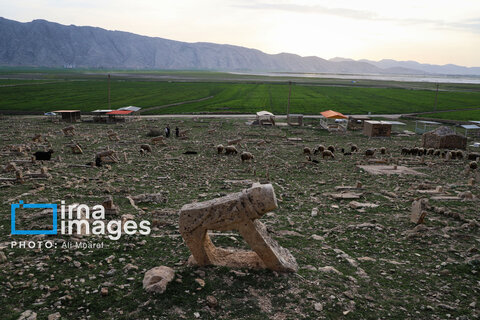 مرگ آرام شیرهای سنگی