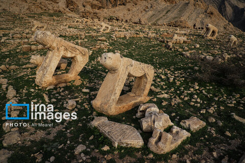 مرگ آرام شیرهای سنگی