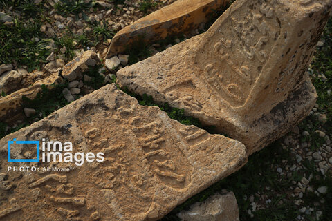 مرگ آرام شیرهای سنگی