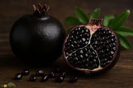 روند افزایشی کشت انار سیاه در طارم زنجان