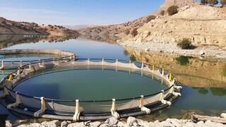 پروژه اسکله پشتیبان در منطقه لاریم احداث می‌شود