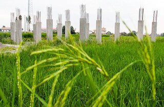 اراضی کشاورزی در استان‌های شمالی آب می‌ رود