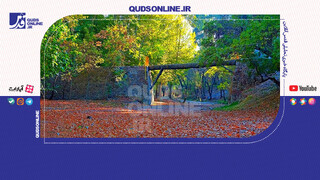 فیلم | فقط ۲۰ دقیقه در طبیعت حضور پیدا کنید!