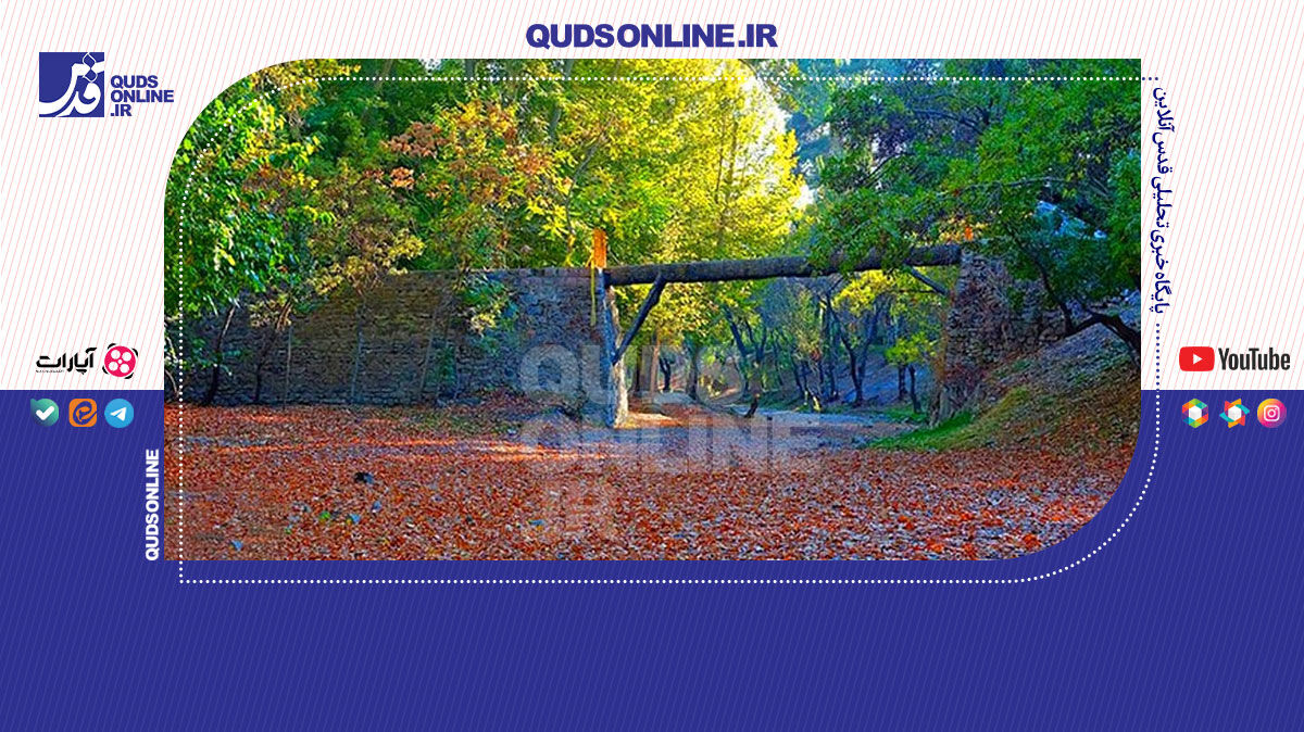 فیلم | فقط ۲۰ دقیقه در طبیعت حضور پیدا کنید!