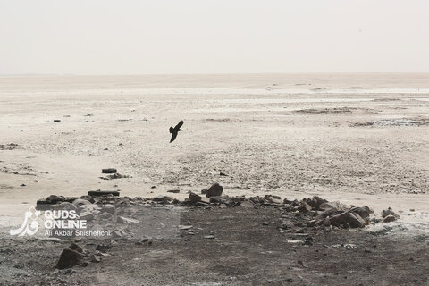 جدیدترین تصاویر از کویر نمک ارومیه