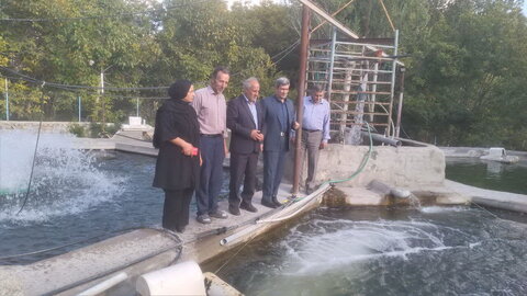 استفاده از عرقیات گیاهی برای پرورش ماهی در آذربایجان شرقی