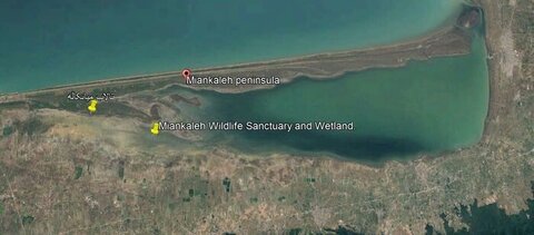 دغدغه ملی برای نجات میانکاله