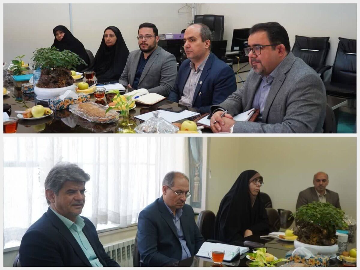 بررسی زمینه‌های همکاری مشترک بین بنیاد فرهنگی رضوی و دانشگاه بین‌المللی امام رضا(ع)