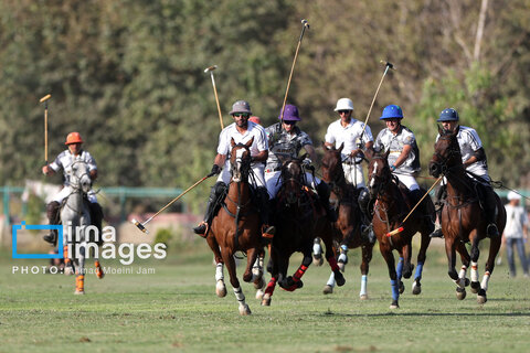 هفته چهاردهم لیگ ملی چوگان