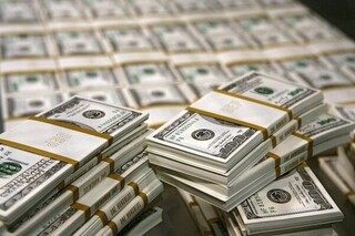 ارز ترجیحی  منشا بسیاری از فسادهاست!