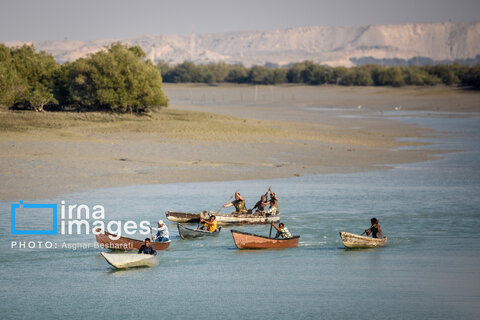 ثبت جهانی روستای «سهیلی» جزیره قشم