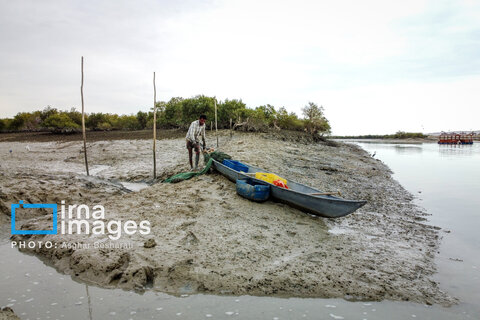 ثبت جهانی روستای «سهیلی» جزیره قشم