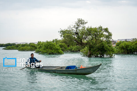 ثبت جهانی روستای «سهیلی» جزیره قشم