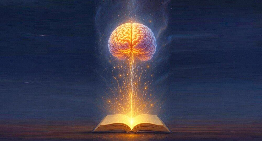 معنای عقل در قرآن کریم